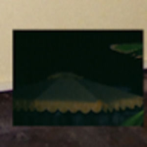 Meet your Posher, Harriet